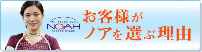ノアの魅力